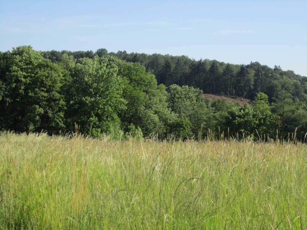 Ferienwohnung Erlenhof เองเกลส์เคียร์เชน ภายนอก รูปภาพ